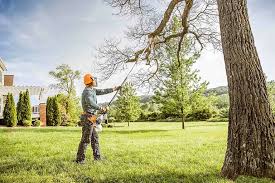 Landscape Design and Installation in Highland Springs, VA