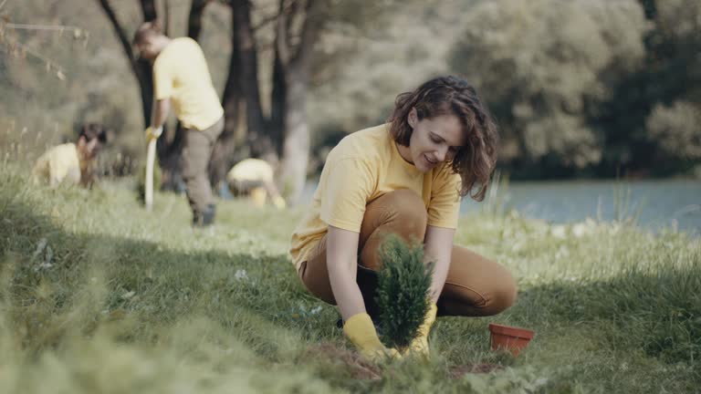 Best Organic Lawn Care Solutions  in Highland Springs, VA