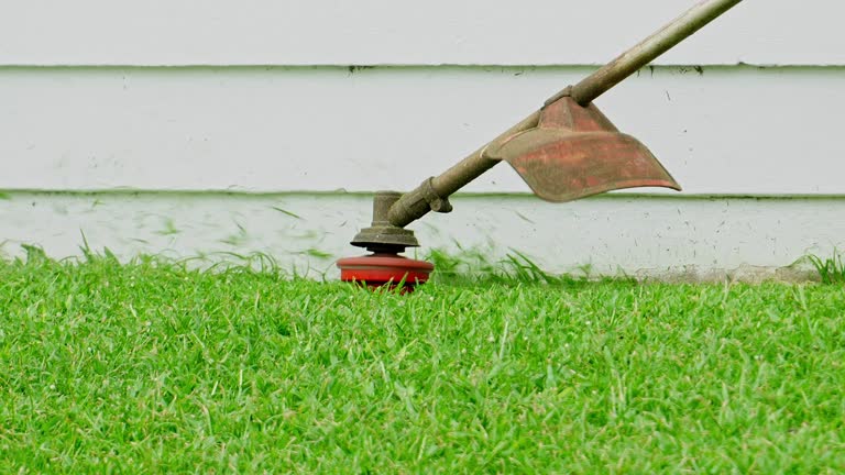 Best Aeration Services  in Highland Springs, VA