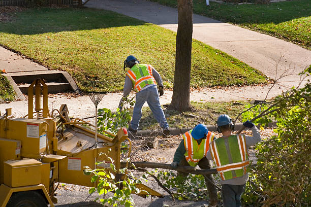 Best Seasonal Cleanup (Spring/Fall)  in Highland Springs, VA